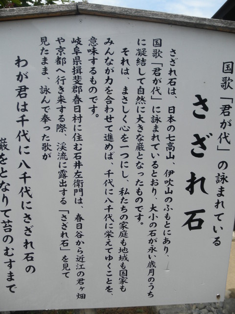 君が代に登場の「さざれ石（細石）」初めて発見…