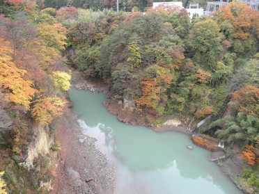 もう見られなくなる紅葉！