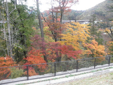 美しい吾妻渓谷、最後の紅葉。